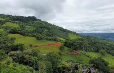 Finca en Zapote de Pejibaye