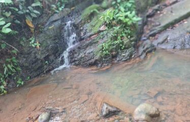 Finca en Zapote de Pejibaye