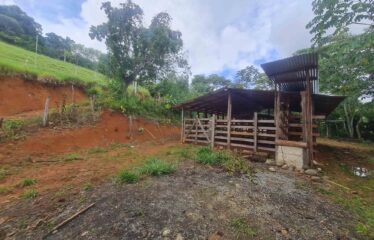Finca en Zapote de Pejibaye