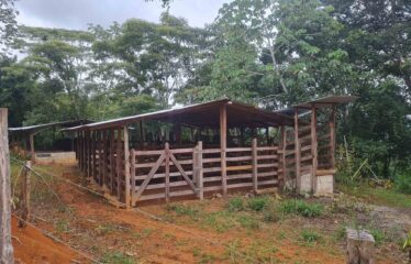 Finca en Zapote de Pejibaye