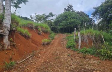 Finca en Zapote de Pejibaye