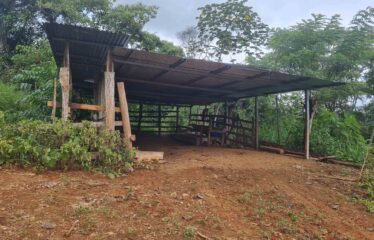 Finca en Zapote de Pejibaye