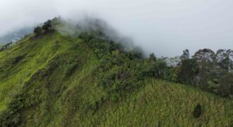 Finca en San Jose de Rivas