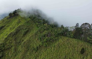 Finca en San Jose de Rivas