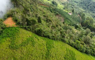 Finca en San Jose de Rivas