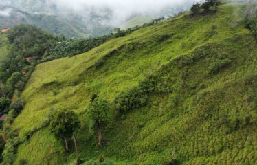 Finca en San Jose de Rivas