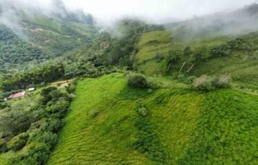 Finca en San Jose de Rivas