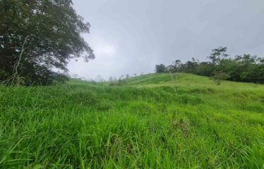 Finca en San Jose de Rivas