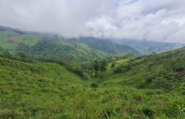 Finca en San Jose de Rivas