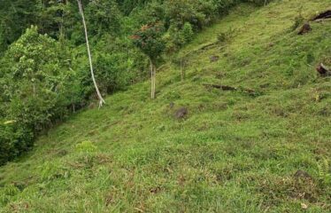 Finca en Cedral de Cajon