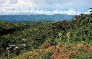 Finca en Cedral de Cajon