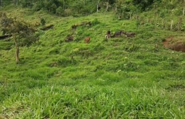 Finca en Cedral de Cajon