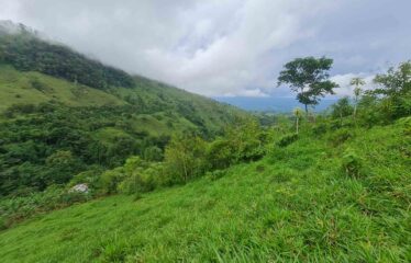 Finca en Cedral de Cajon