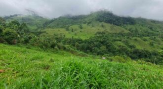 Finca en Cedral de Cajon