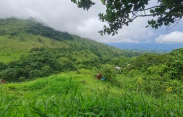 Finca en Cedral de Cajon