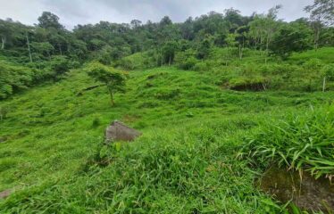 Finca en Cedral de Cajon