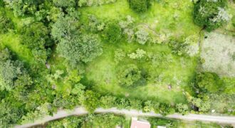 Finca en Pueblo Nuevo de Rivas,