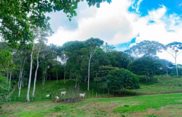 Finca en Las Brisas de Cajón