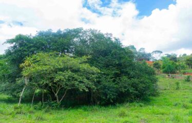 Finca en Las Brisas de Cajón