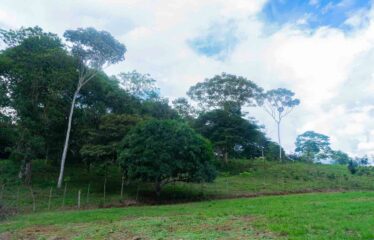 Finca en Las Brisas de Cajón