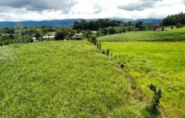 Finca en Peñas Blancas