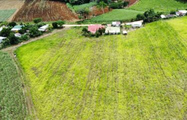 Finca en Peñas Blancas