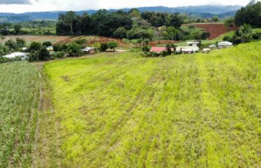 Finca en Peñas Blancas
