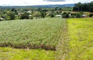 Finca en Peñas Blancas