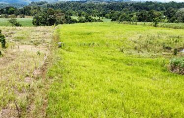 Finca en Peñas Blancas