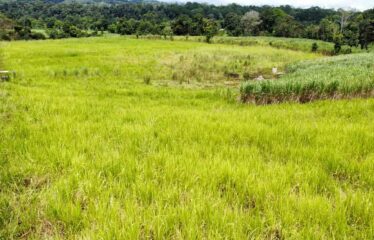 Finca en Peñas Blancas