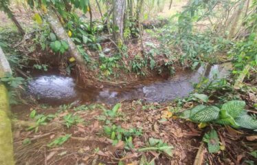 Finca en Peñas Blancas