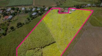 Finca en Peñas Blancas