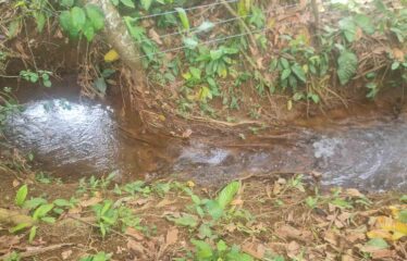Finca en Peñas Blancas