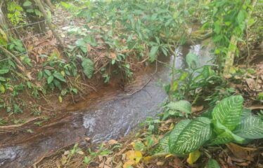 Finca en Peñas Blancas