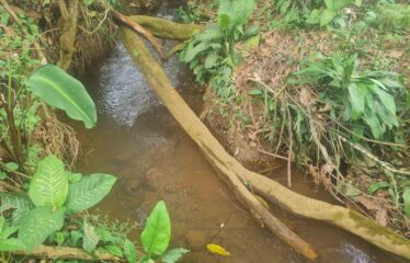 Finca en Peñas Blancas