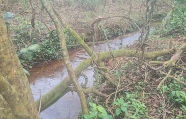 Finca en Peñas Blancas