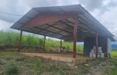 Finca en Peñas Blancas