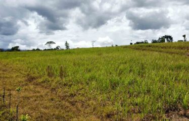 Finca en Peñas Blancas