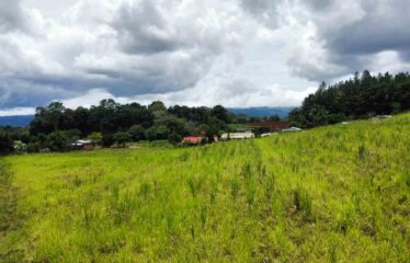 Finca en Peñas Blancas