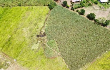 Finca en Peñas Blancas