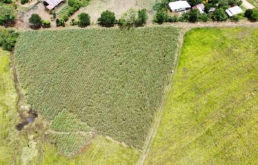 Finca en Peñas Blancas