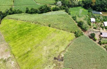 Finca en Peñas Blancas