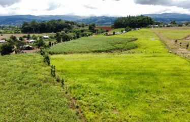 Finca en Peñas Blancas