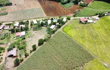 Finca en Peñas Blancas