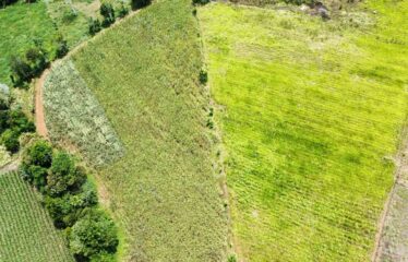 Finca en Peñas Blancas