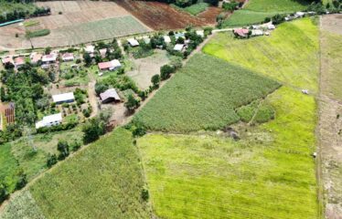 Finca en Peñas Blancas