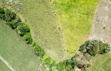 Finca en Peñas Blancas