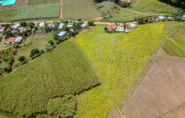 Finca en Peñas Blancas