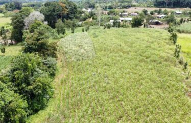 Finca en Peñas Blancas