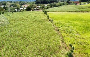 Finca en Peñas Blancas